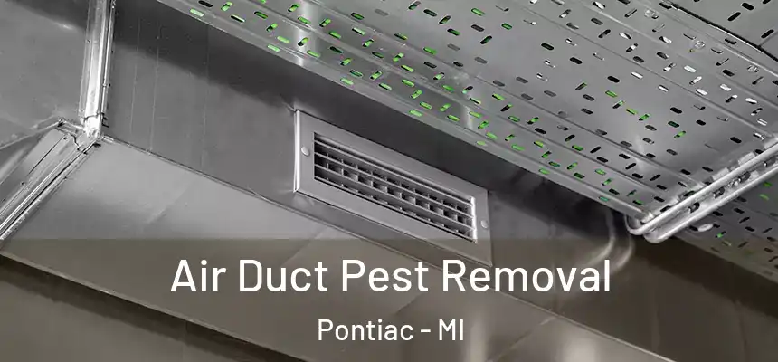 Air Duct Pest Removal Pontiac - MI