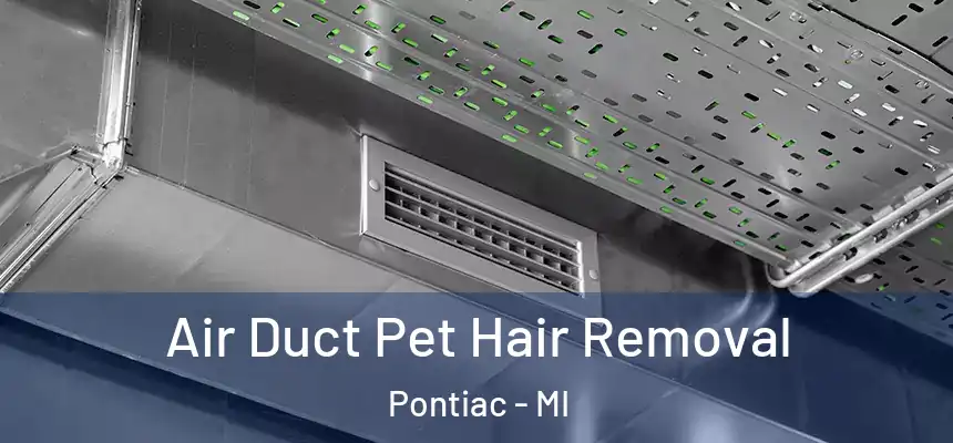 Air Duct Pet Hair Removal Pontiac - MI