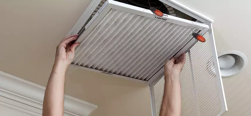 Preventive Cockroach-Proofing for Ducts in Pontiac