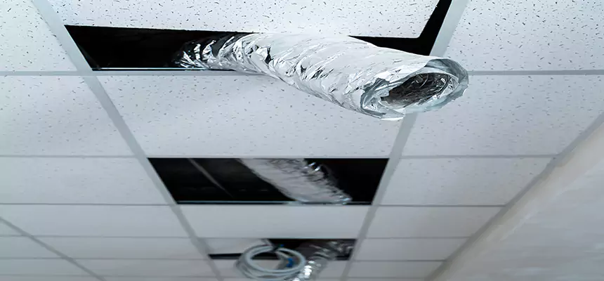 Affordable HVAC Sanitizing After Pest Removal in Pontiac