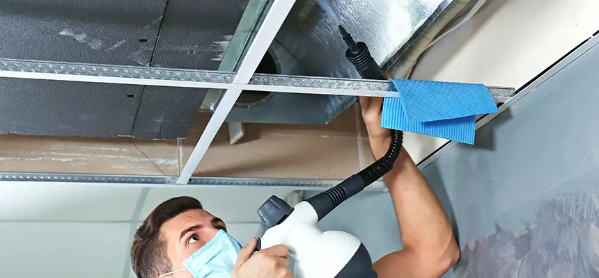Our Air Duct Rodent Removal Services in Pontiac, MI