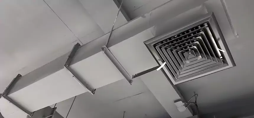 Our Pest Removal From Ducts Services in Pontiac, MI