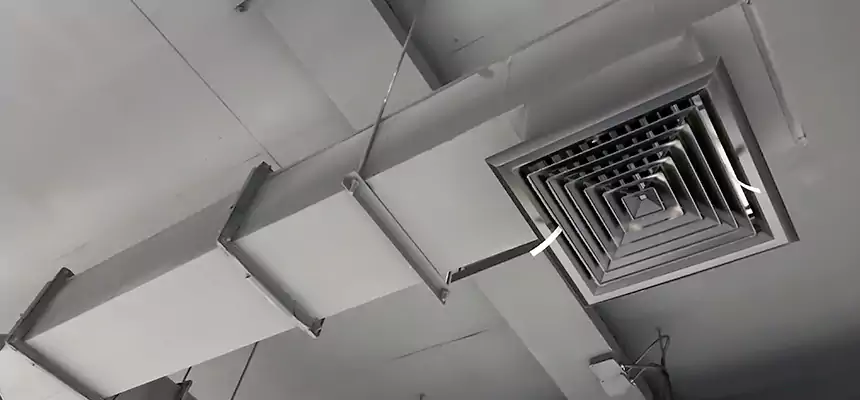 Our Rodent Droppings In Vents Services in Pontiac, MI