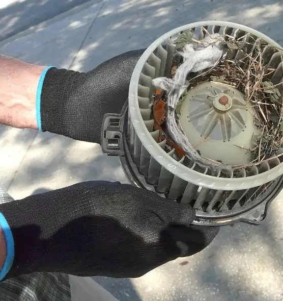 About Air Duct Mice Removal in Pontiac, MI