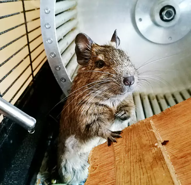 Why Homeowners & Businesses Trust Us Pontiac, MI